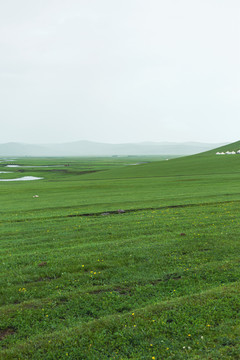 草原河流蒙古包