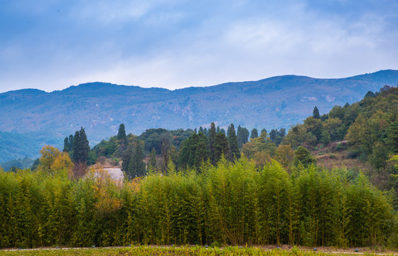 小山村