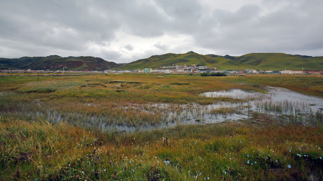 甘南自然风光湿地草原