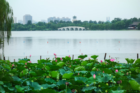 天津水上公园