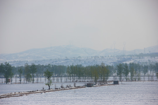 春雪