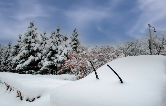 雪中汽车特写