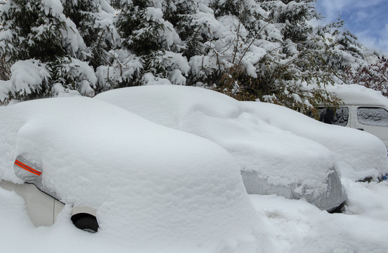 雪中汽车特写