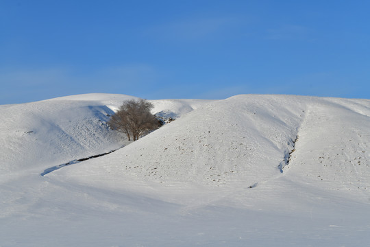 冬天草原雪原