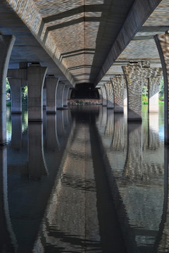 金山湖公园风光