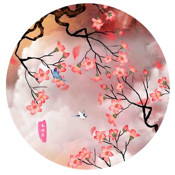 木棉花插畫