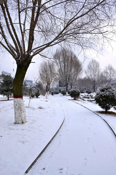 公园雪景