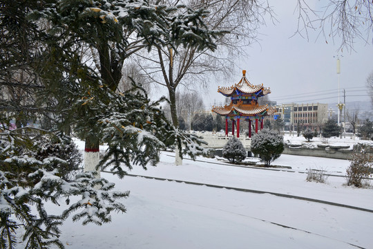 公园雪景