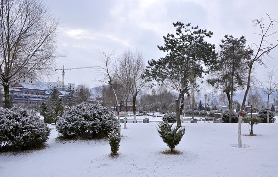 公园雪景