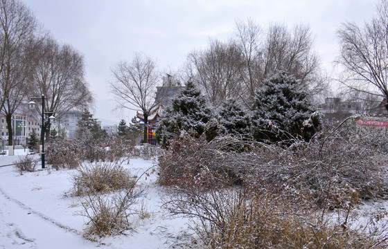 公园雪景