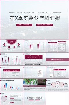 医院急诊产科季度总结PPT