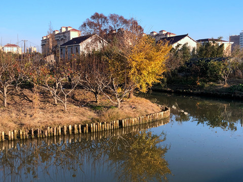 沿河民居