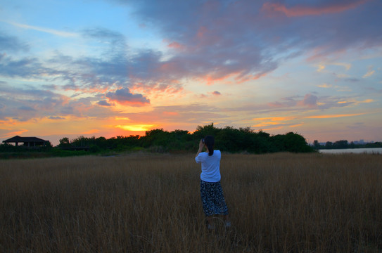 夕阳背影