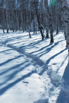 冬季森林积雪小路
