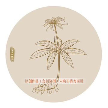 七葉一枝花