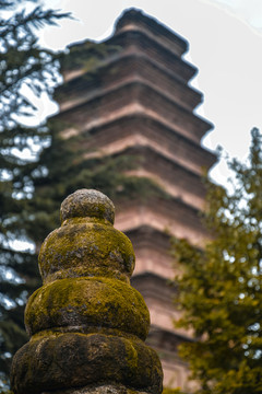 西安香积寺善导塔