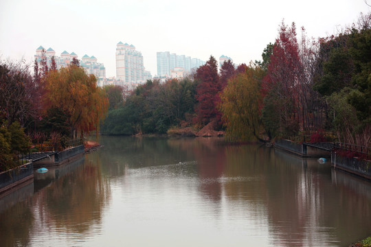 河岸秋景