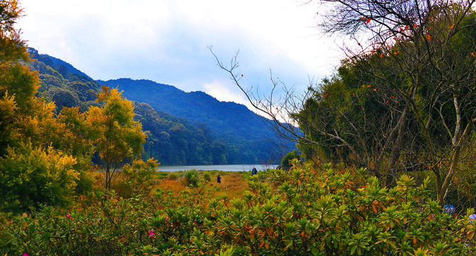 秋季山林风景画