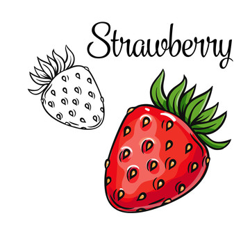草莓彩绘插图
