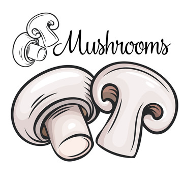 新鲜蘑菇插图