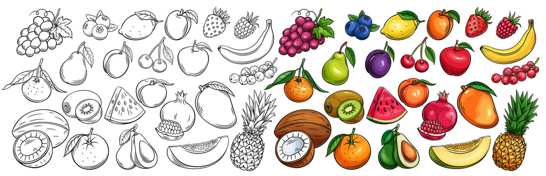 多种水果彩绘素描插图