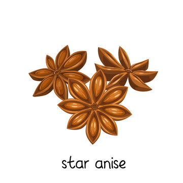 咖啡色八角茴香插圖