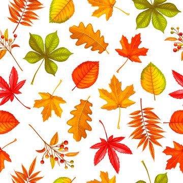 浪漫橘紅楓葉插圖背景