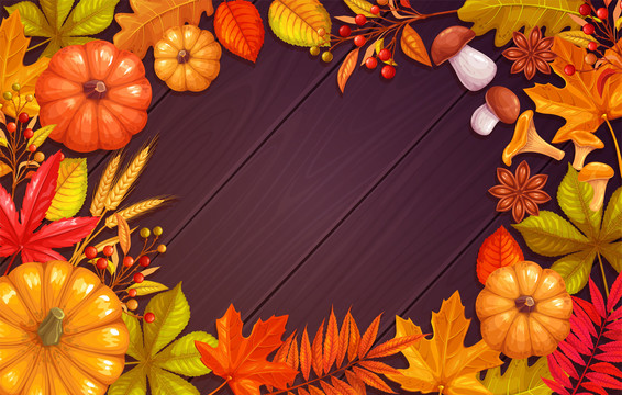 橘紅南瓜谷物邊框元素