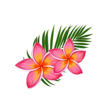 紅色鮮艷雞蛋花插圖