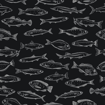 黑白手绘多样鱼群背景