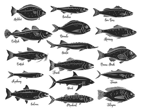 黑白手绘多样品种鱼群插图