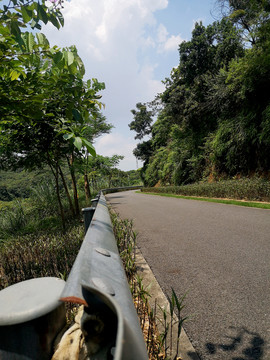 道路钢护栏