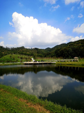 池塘水面倒影