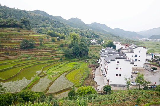 新农村建设