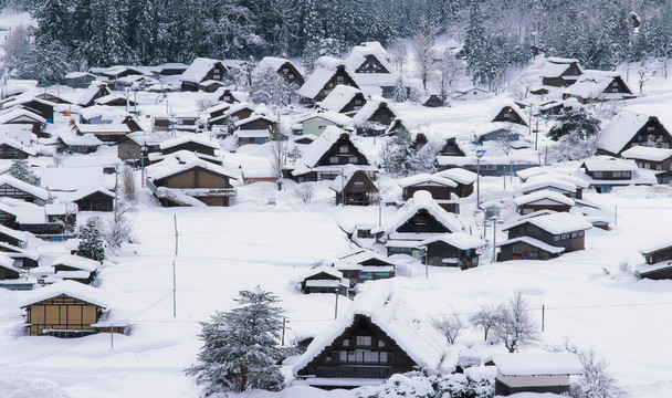 雪景