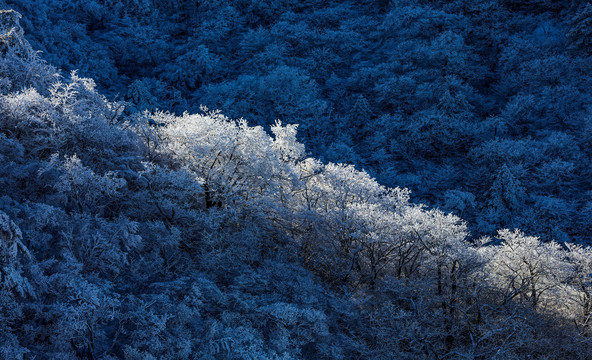 黄山雪景