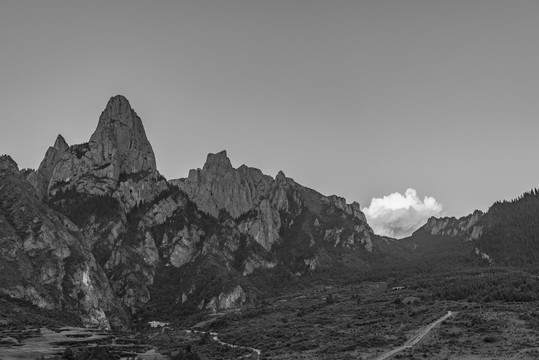 黑白风景