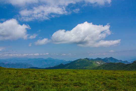 高山草地