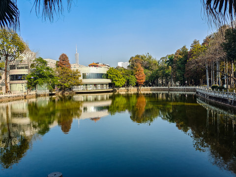 校园池塘