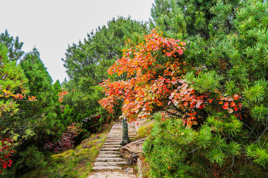 山西晋中石膏山