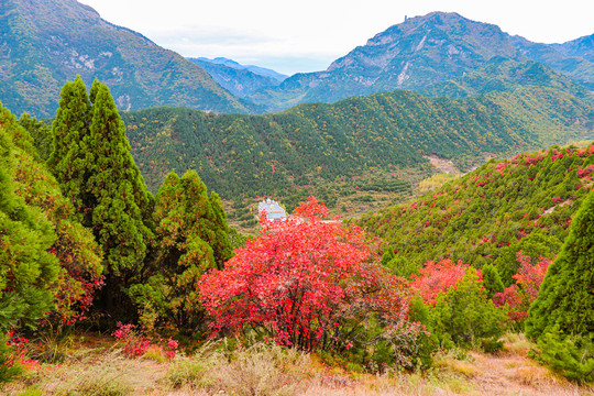 山西晋中石膏山