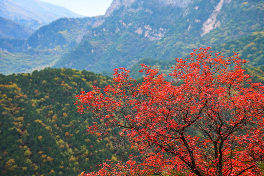 石膏山风光