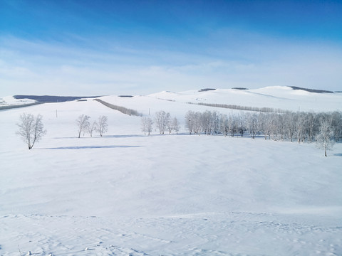 雪原树林