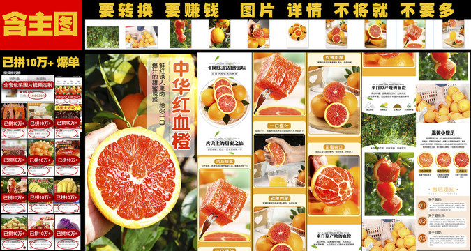 中華紅血橙詳情