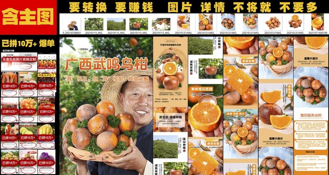 廣西武鳴烏柑詳情