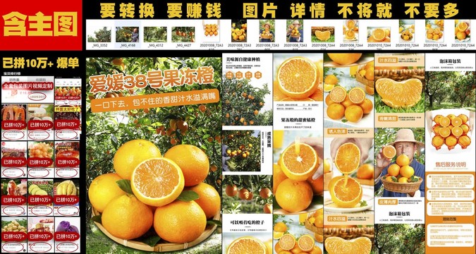 愛媛38號果凍橙詳情