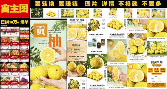 貢柚詳情