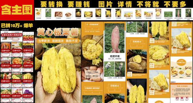 黃心板栗薯詳情