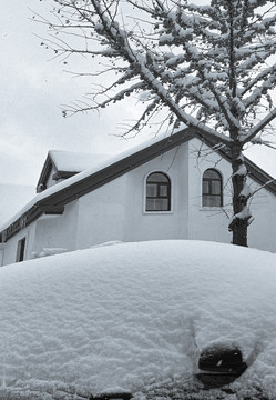 雪后小景