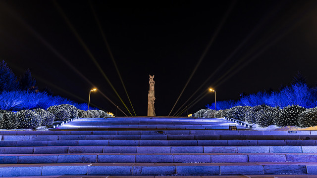 长春世界雕塑公园冰雪乐园夜景